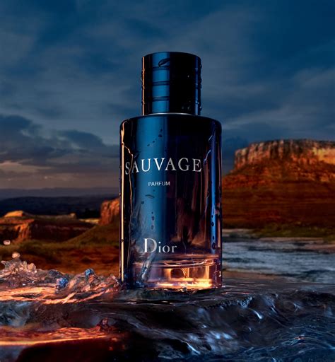 dior sauvage jak pachnie|sauvage dior parfum 2015.